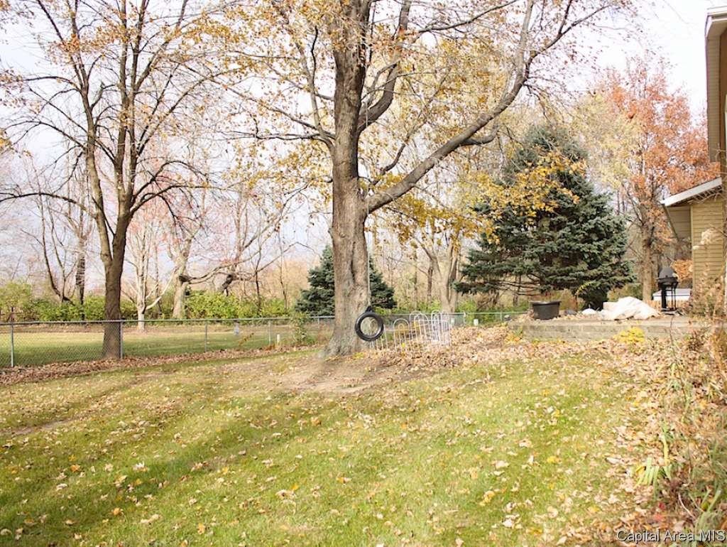 23 Sarah Avenue Springfield, IL 62703 - Photo 30 of 31