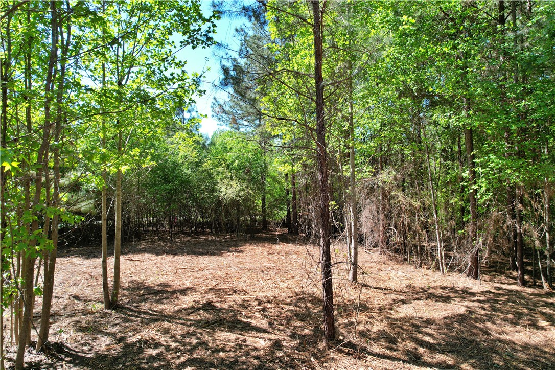 Lot 134 Mcalister Rd Union West Union, SC 29696 - Photo 43 of 43 This tranquil wooded lot offers a peaceful retreat with abundant natural beauty and mature trees.