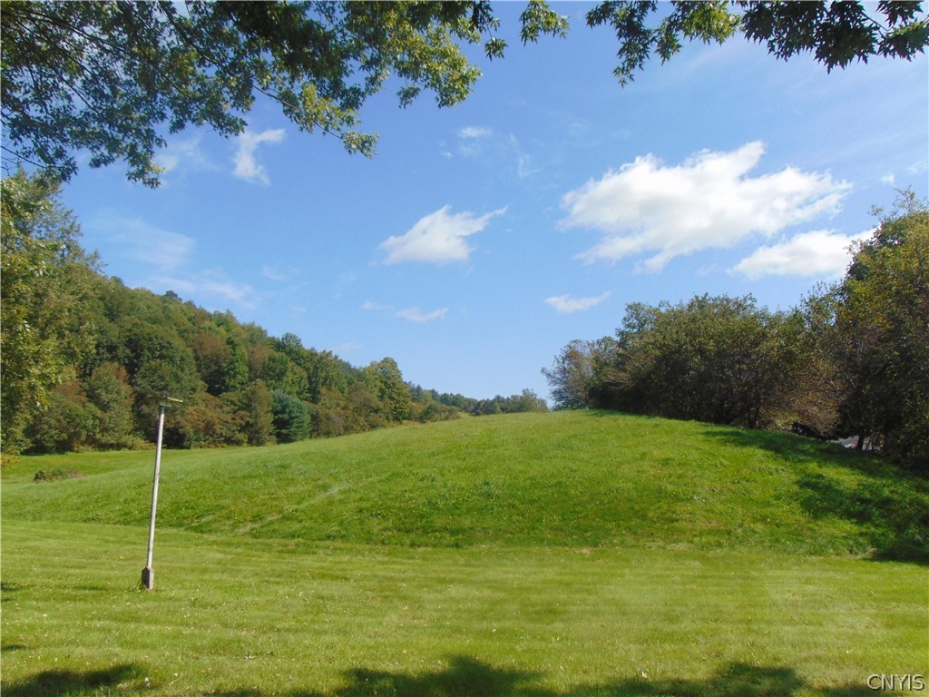 4800 Health Camp Road Homer, NY 13045 - Photo 18 of 40 View of a back side of the 4 acres
