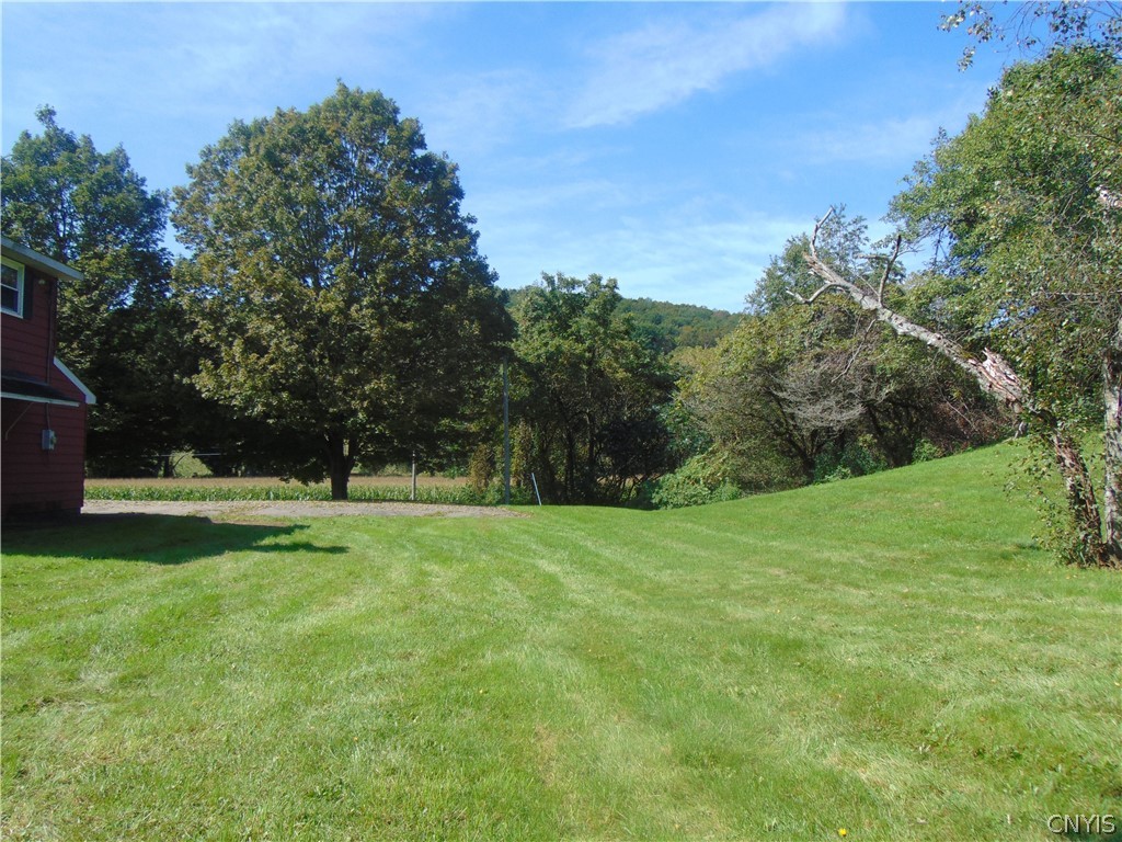 4800 Health Camp Road Homer, NY 13045 - Photo 33 of 40 Another view