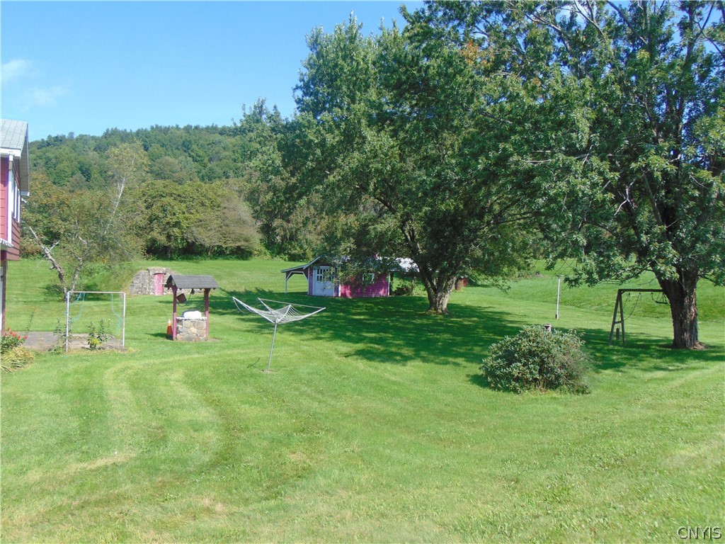 4800 Health Camp Road Homer, NY 13045 - Photo 5 of 40 Back yard with many different views