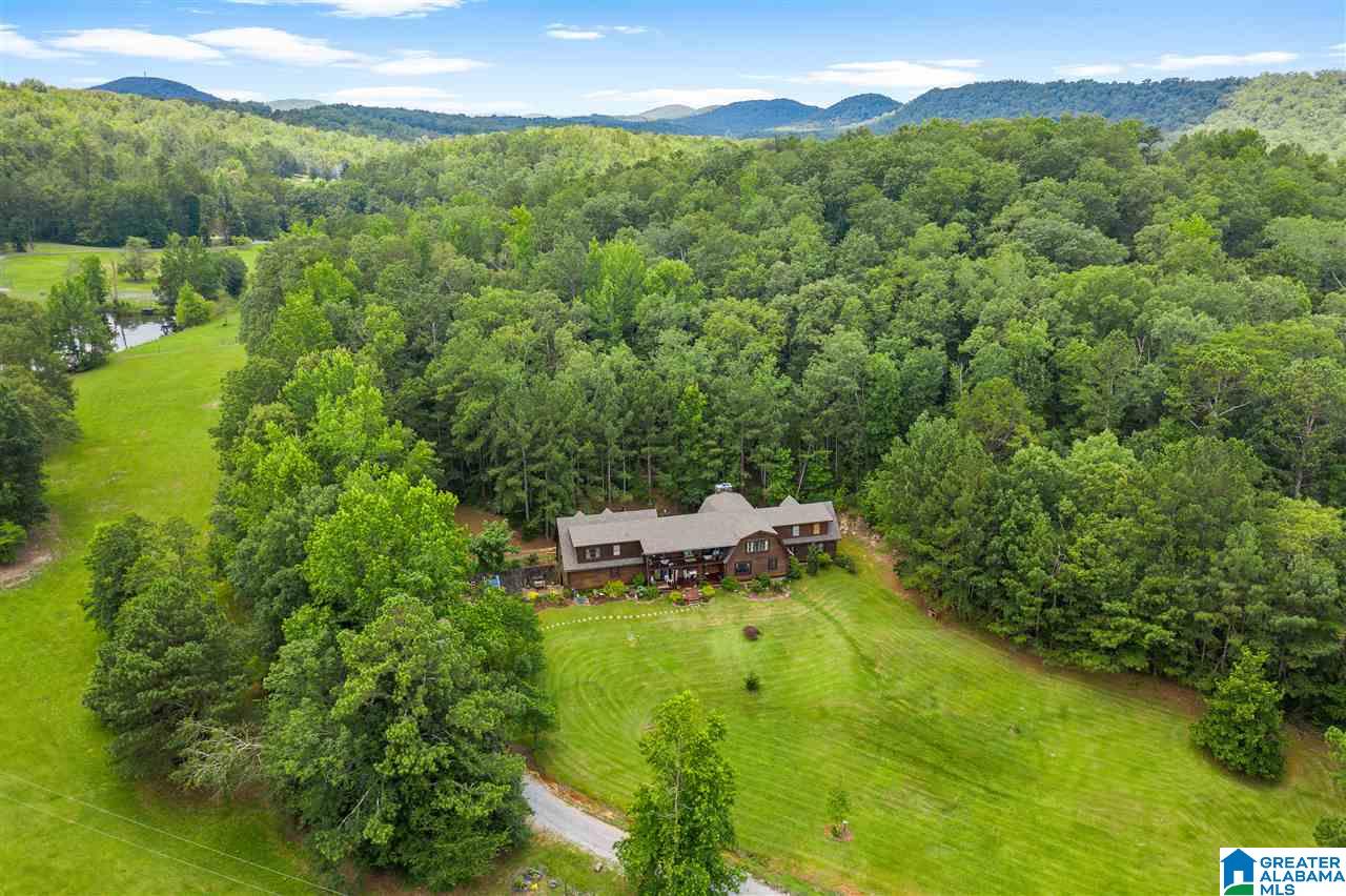 2098 Red Valley Road Remlap, AL 35133 - Photo 41 of 47