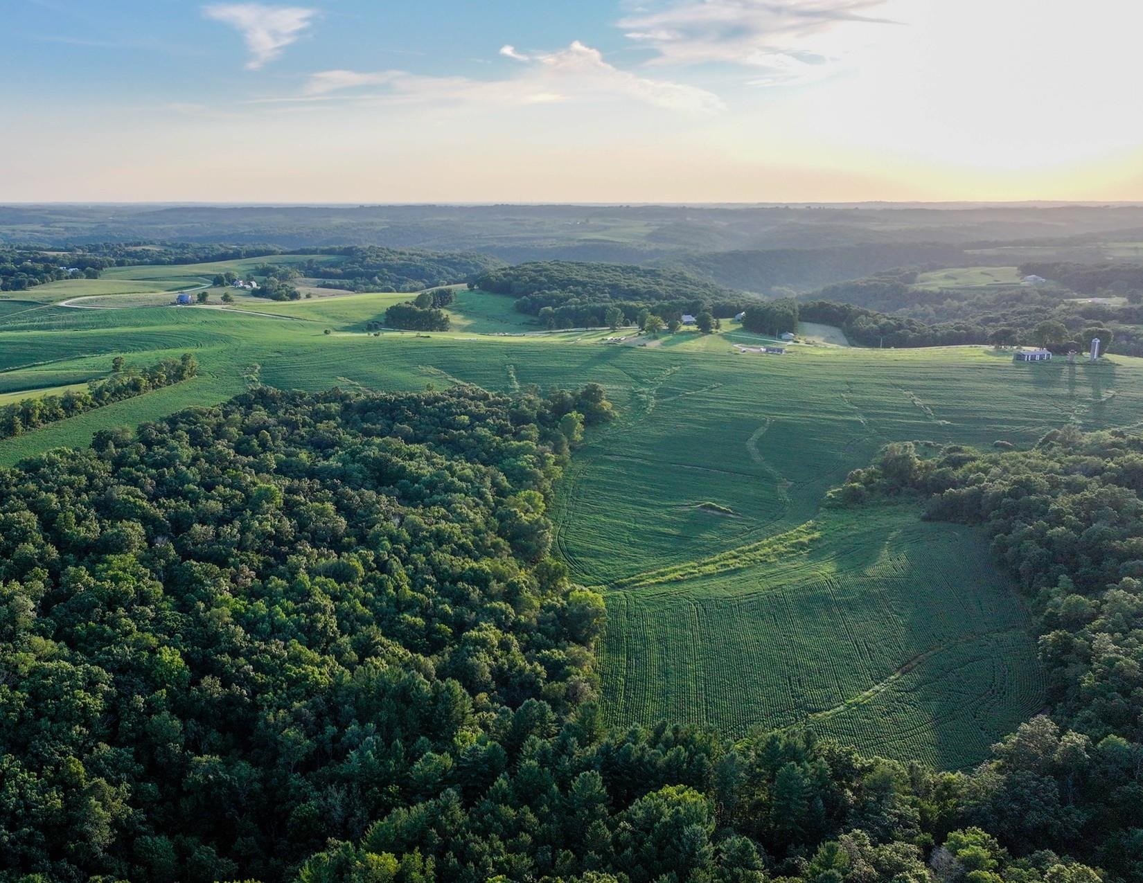 169.75-acres Stump Ridge Road Viroqua, WI 54665 - Photo 19 of 30 Gallery Image 19
