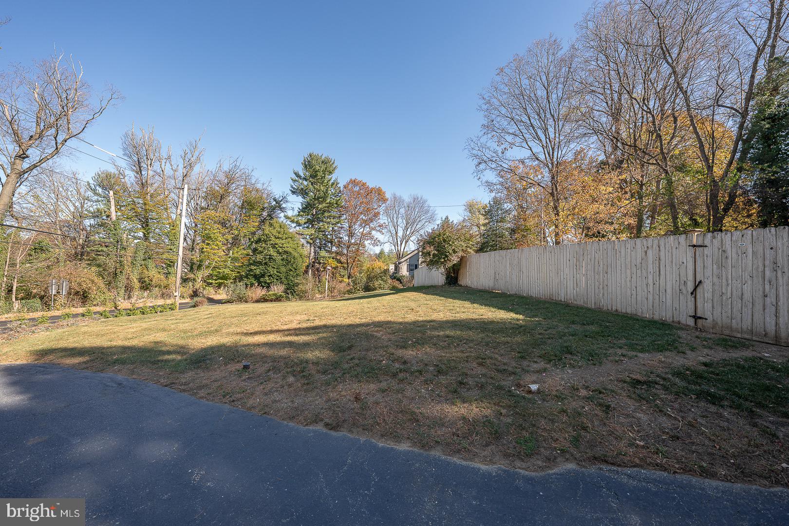 401 North Spring Mill Road Villanova, PA 19085 - Photo 74 of 76 a view of dirt yard with a large tree