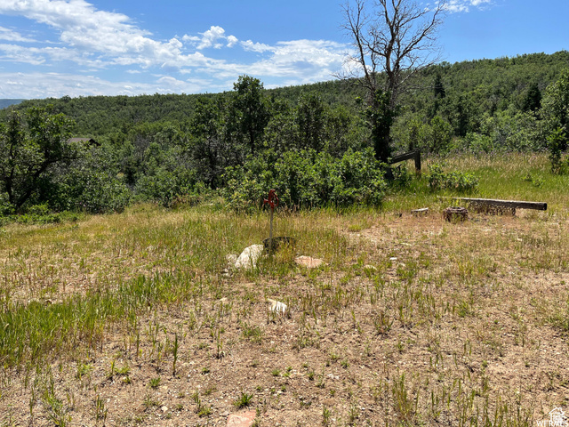 St, Unit 41 Springville, UT 84663 - Photo 11 of 12 View of wooded area