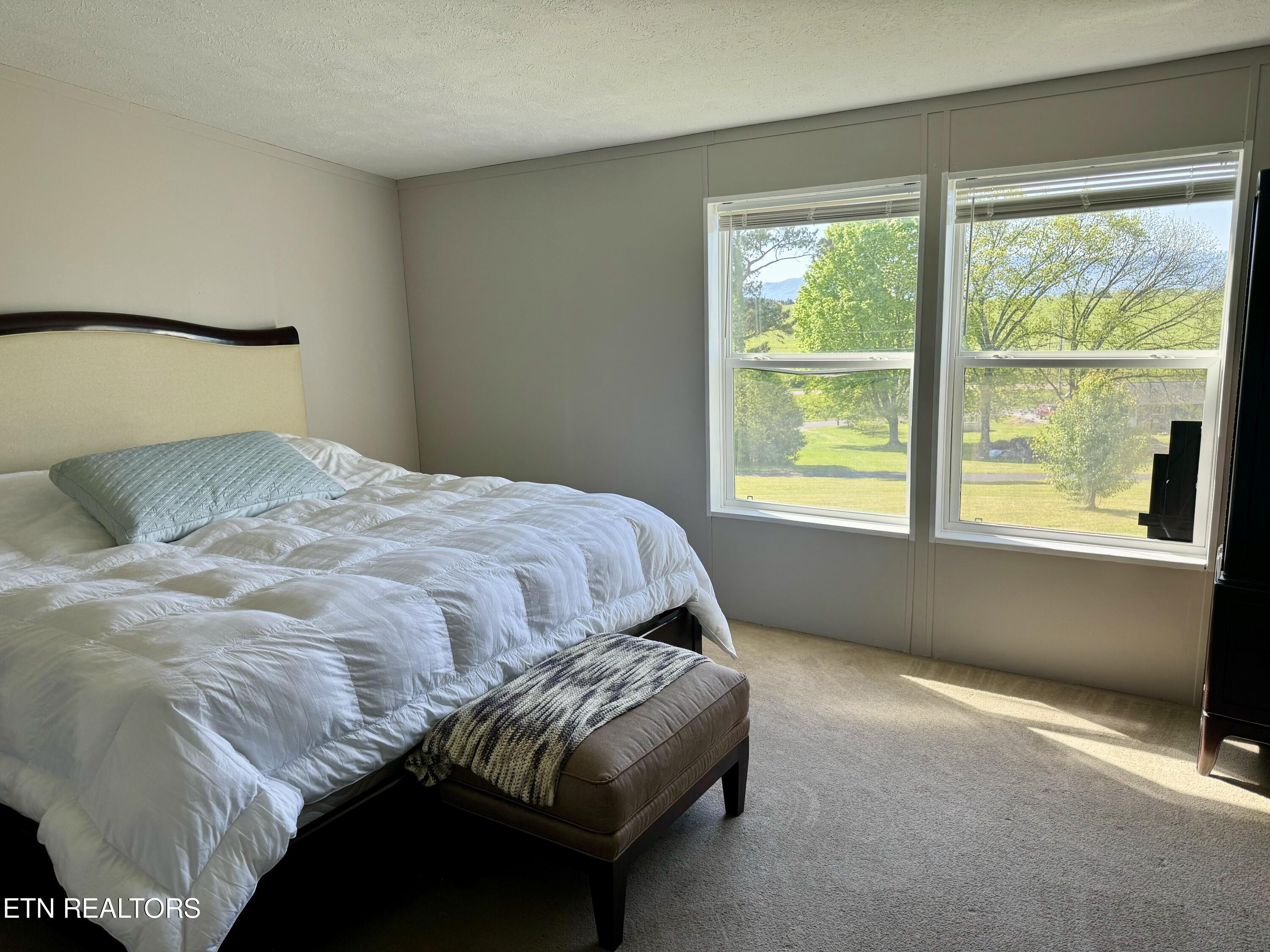 420 Wine Road Dandridge, TN 37725 - Photo 19 of 37 Owner's Suite