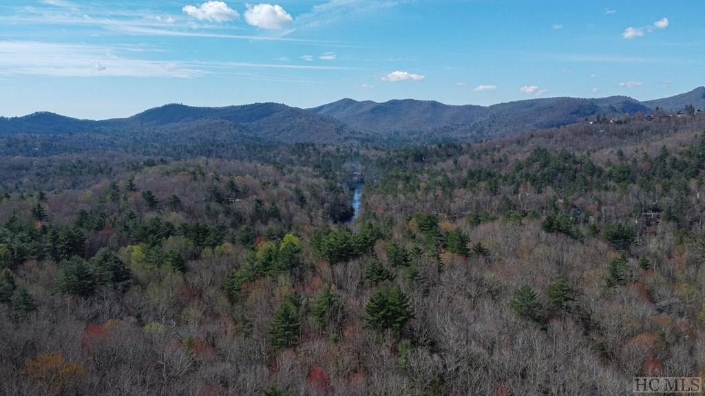 7 Tower Road Sapphire, NC 28774 - Photo 15 of 28 Gallery Image 15