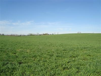 375 Stoney Point Road Paris, KY 40361 - Photo 18 of 25 Photo 18