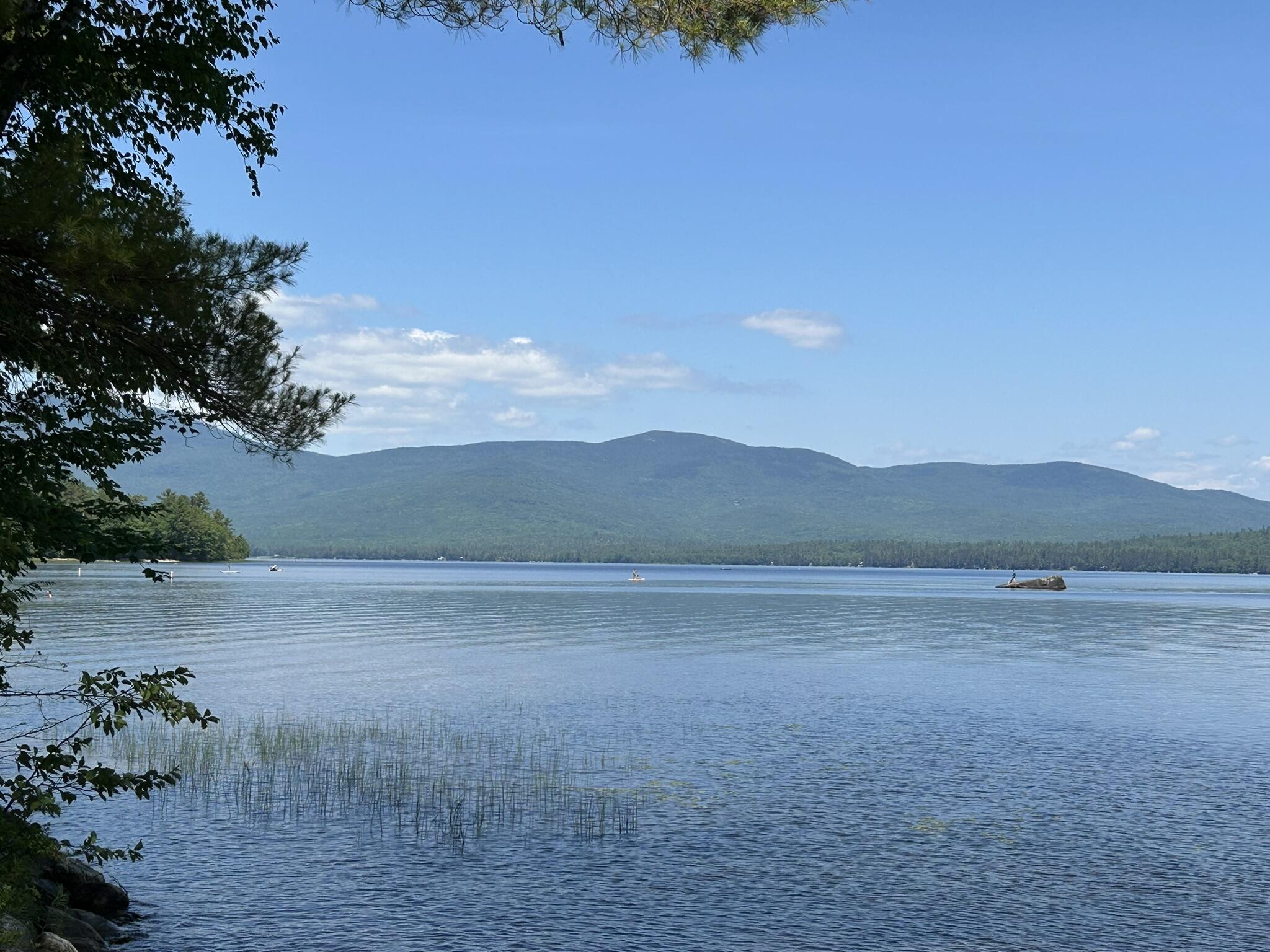 3 Center Hill Road Weld, ME 04285 - Photo 54 of 56 IMG_2082