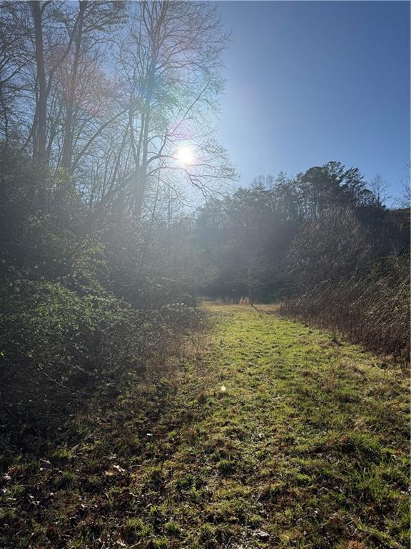 0 Blue Arrow Road Mineral Bluff, GA 30559 - Photo 18 of 20