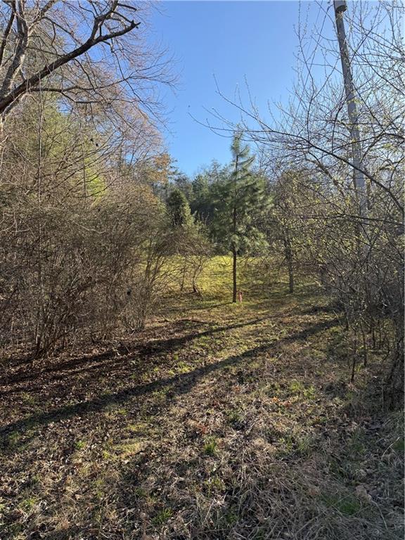 0 Blue Arrow Road Mineral Bluff, GA 30559 - Photo 19 of 20