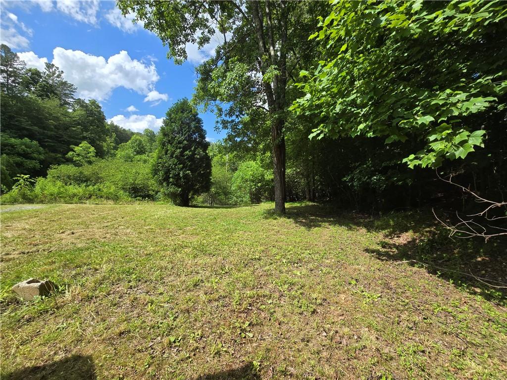 0 Blue Arrow Road Mineral Bluff, GA 30559 - Photo 3 of 20