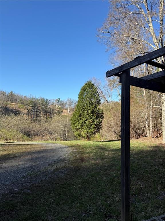 0 Blue Arrow Road Mineral Bluff, GA 30559 - Photo 4 of 20