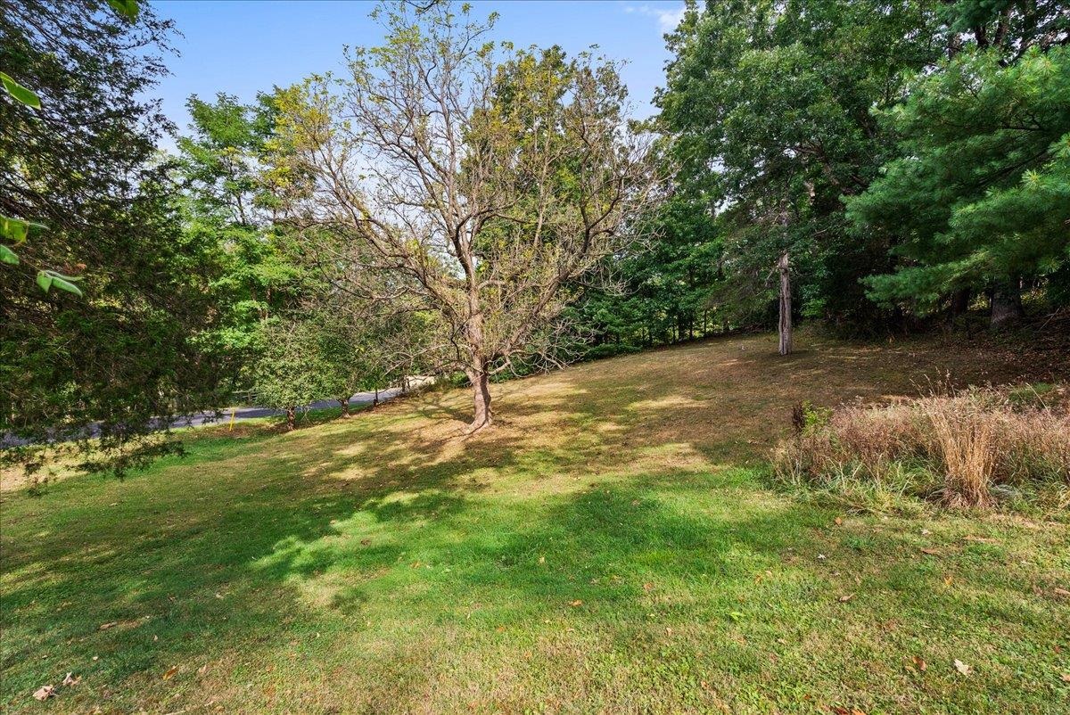 765 Union Church Road Churchville, VA 24421 - Photo 35 of 35 a view of a yard with a tree