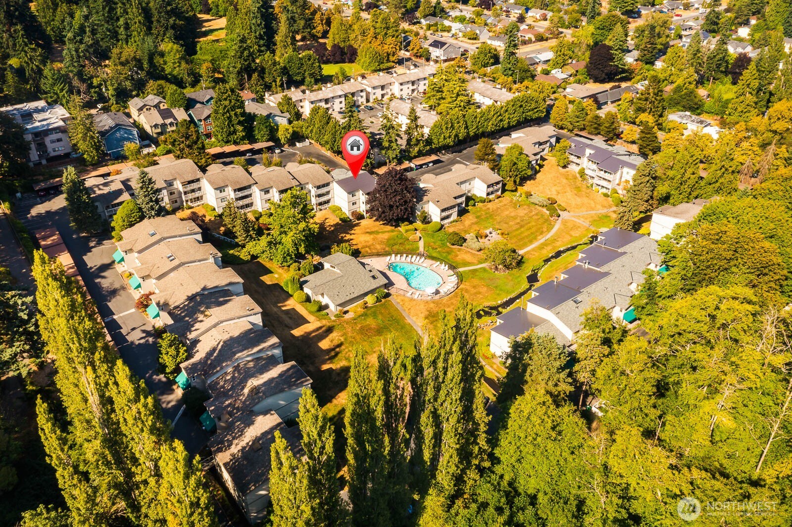 13279 15th Avenue Northeast, Unit B20 Seattle, WA 98125 - Photo 28 of 32 a picture of flowers