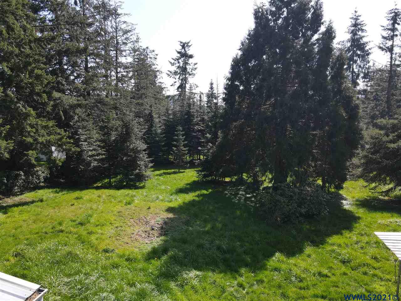 16746 South Abiqua Road Northeast Silverton, OR 97381 - Photo 5 of 8