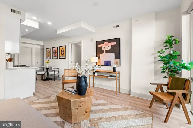 a living room with furniture and a potted plant