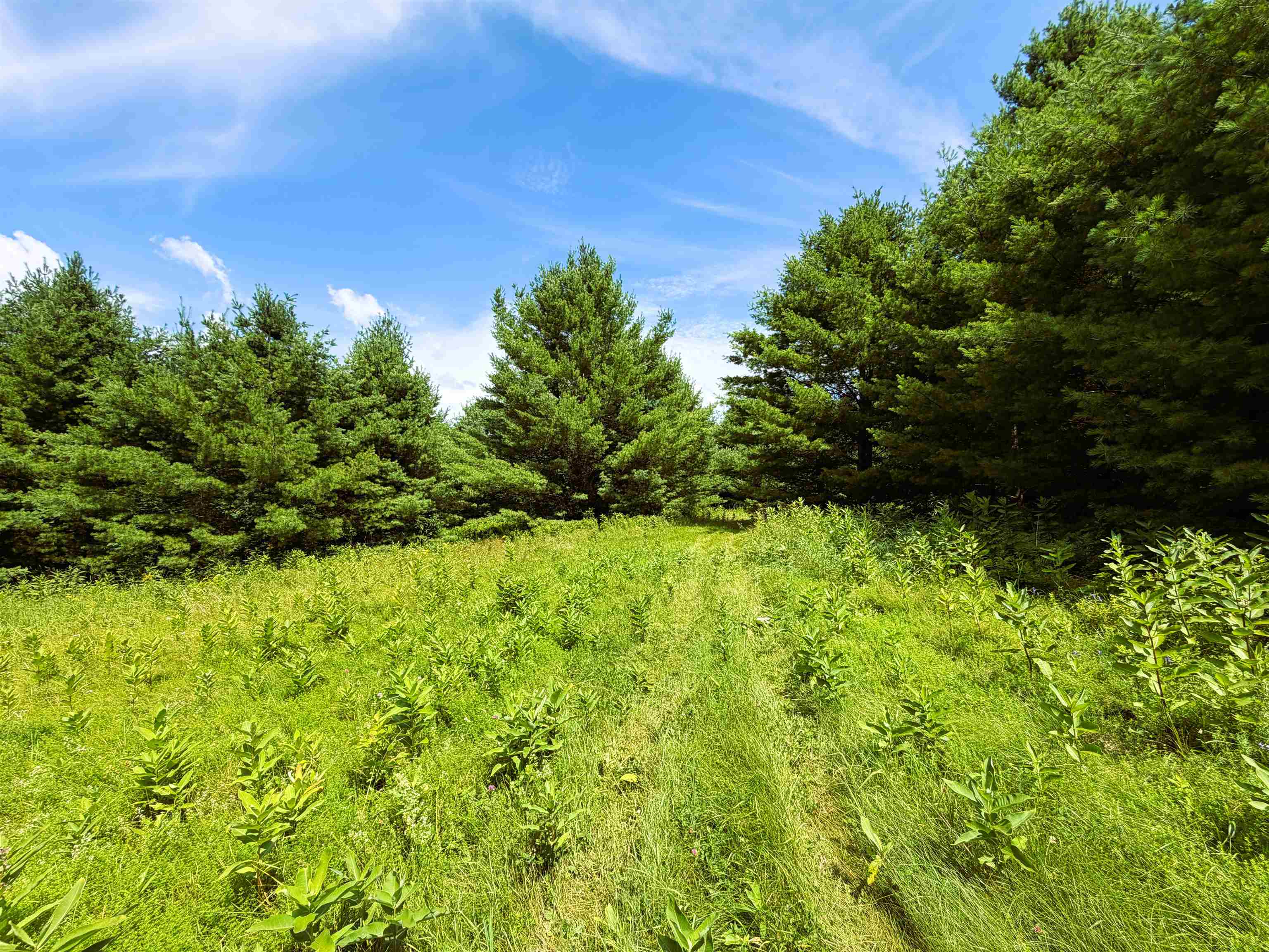 0 Osgood Farm Road Littleton, NH 03561 - Photo 14 of 58 Gallery Image 14