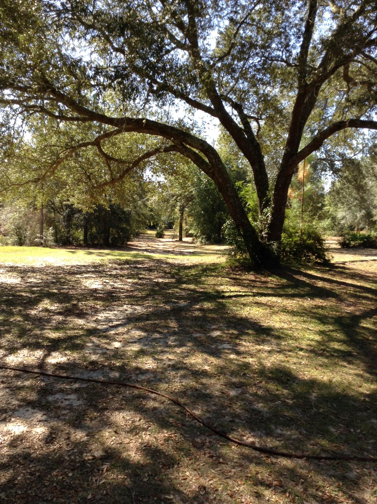 851 Broxson Road Holt, FL 32564 - Photo 1 of 30 IMG_0102