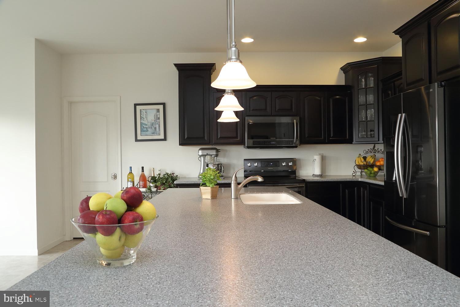 653 Warminster Lane Lititz, PA 17543 - Photo 11 of 45 Center Island with prep sink