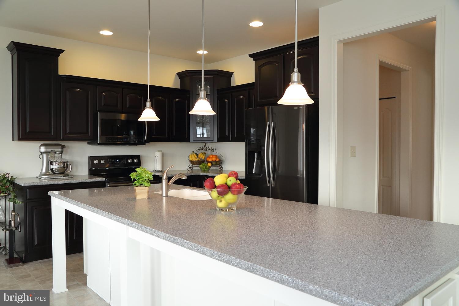 653 Warminster Lane Lititz, PA 17543 - Photo 13 of 45 Beautiful stone counter tops