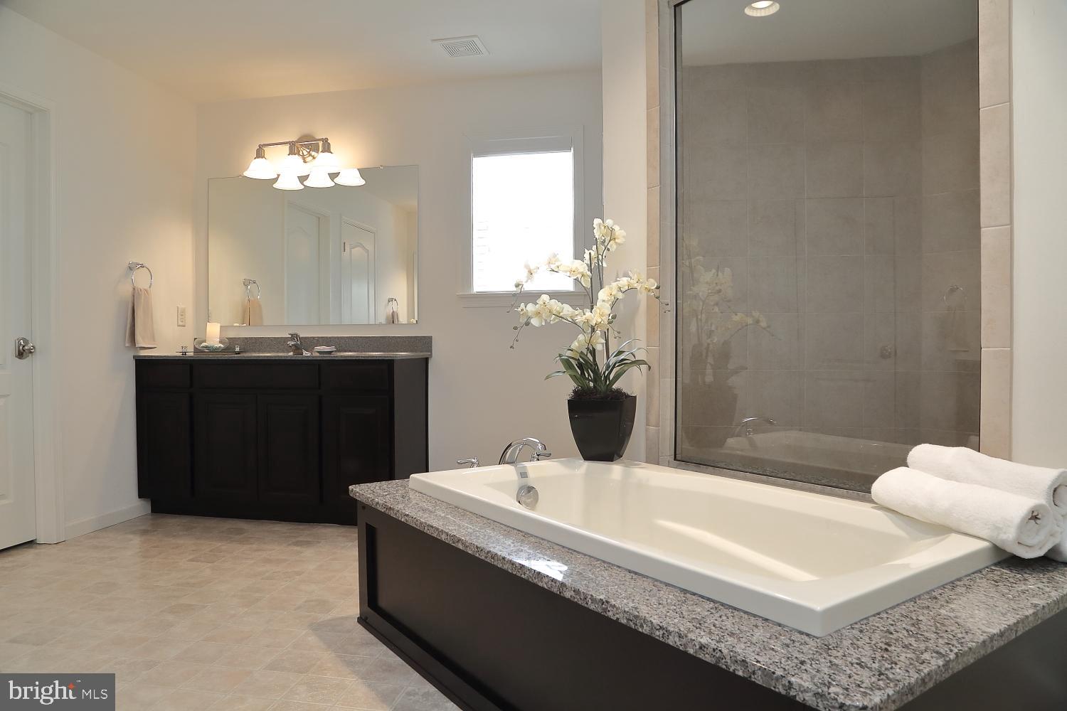 653 Warminster Lane Lititz, PA 17543 - Photo 29 of 45 Master Bath - soaking tub