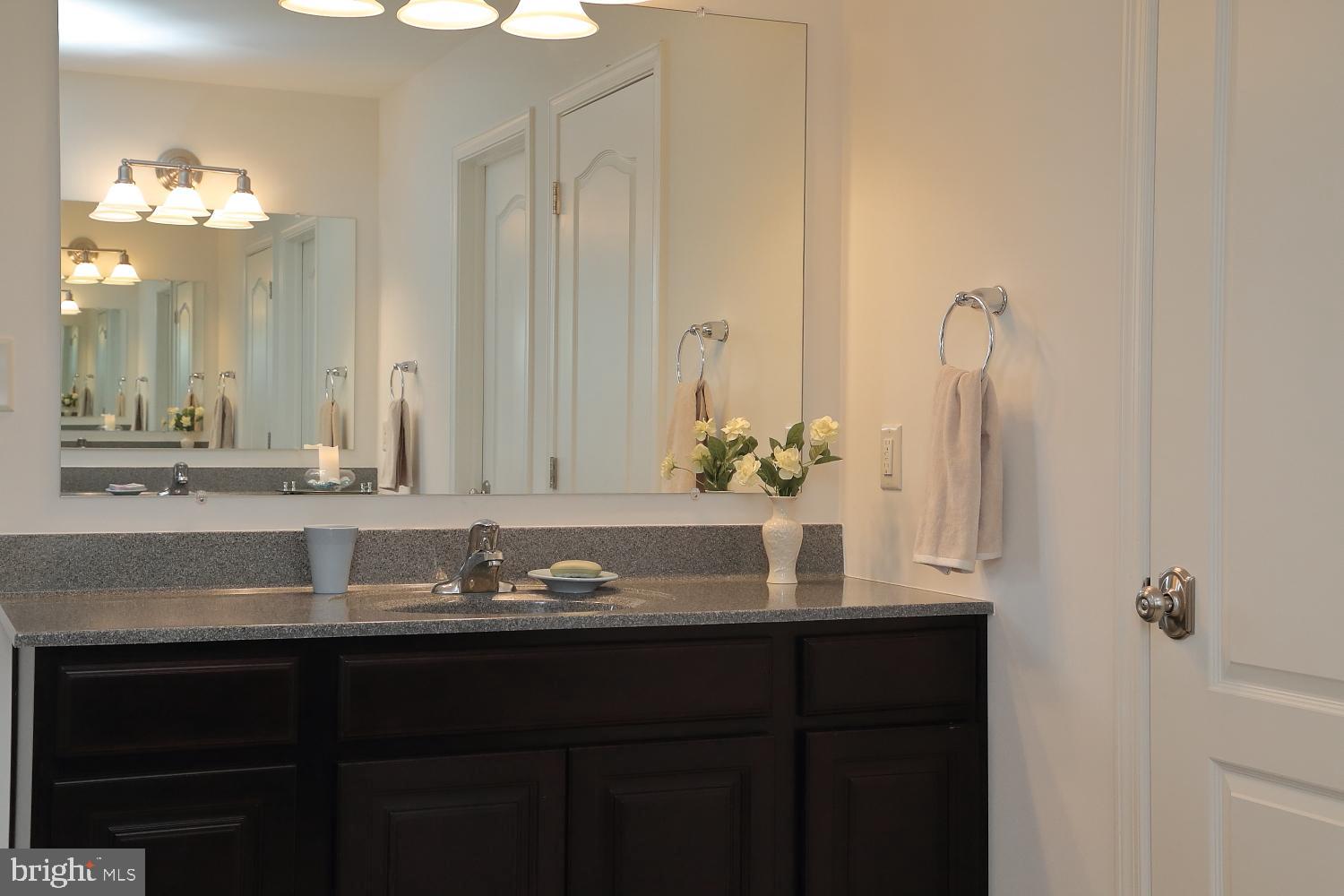 653 Warminster Lane Lititz, PA 17543 - Photo 31 of 45 Master Bath - Dual vanities