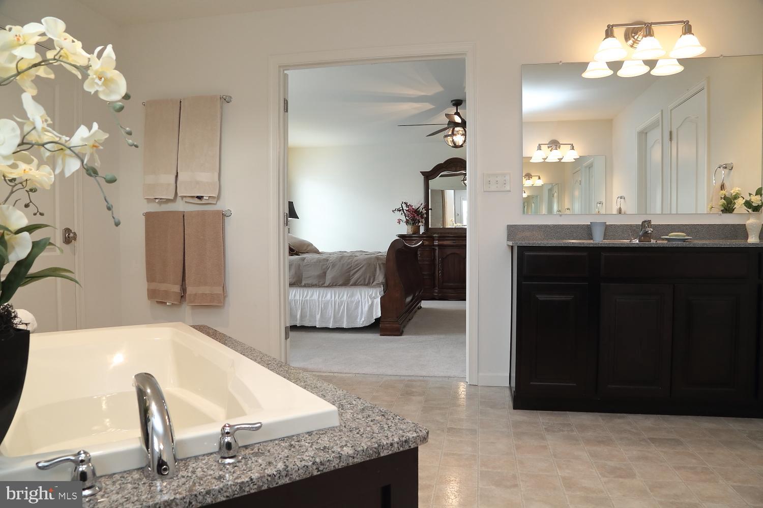 653 Warminster Lane Lititz, PA 17543 - Photo 32 of 45 Master Bath - dual vanities