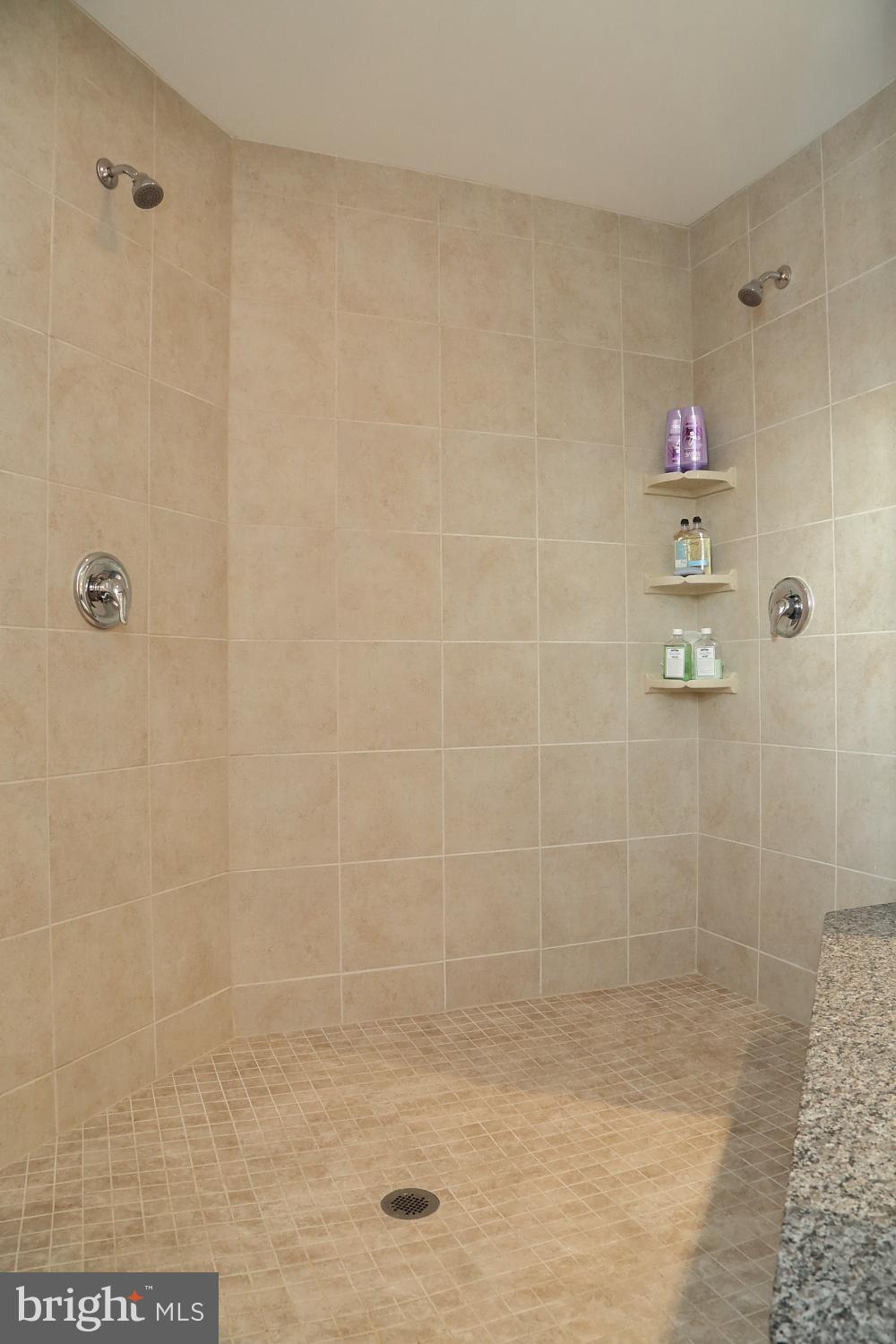 653 Warminster Lane Lititz, PA 17543 - Photo 33 of 45 Master Bath - walk in shower with Glass surround