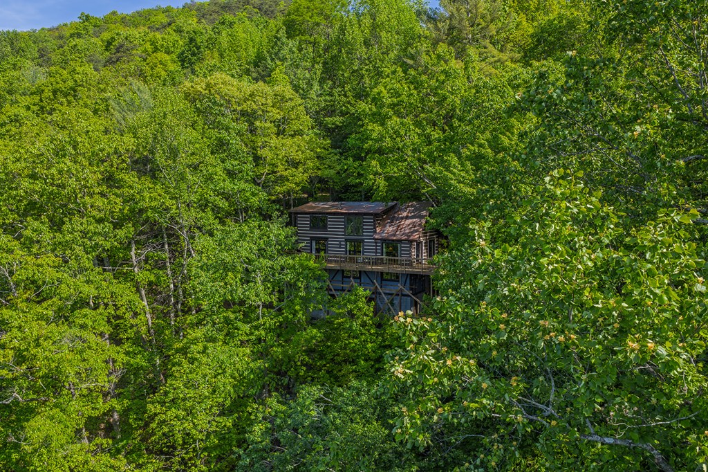 1049 Rockwater Road Ellijay, GA 30536 - Photo 41 of 45 Gallery Image 41