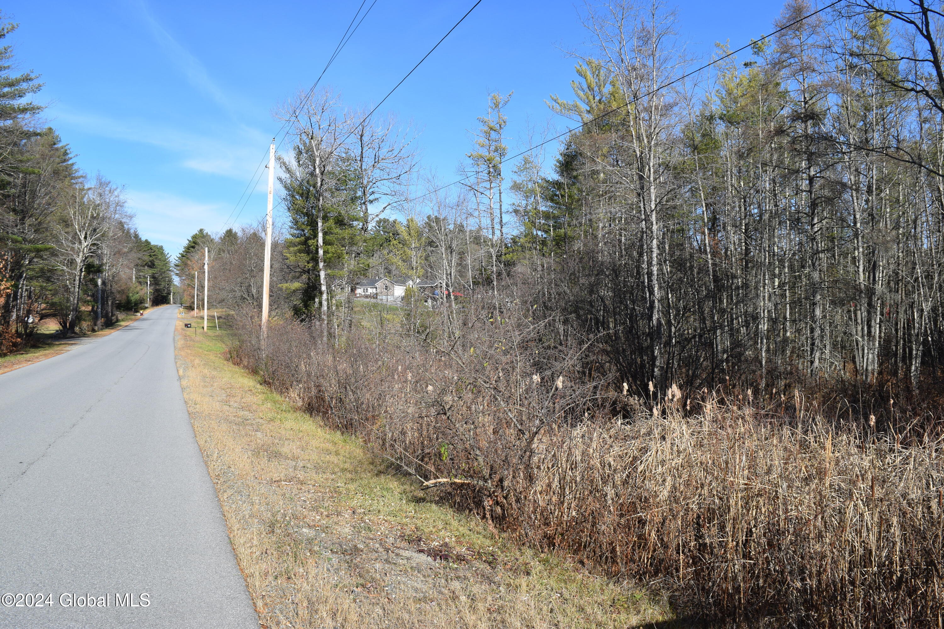 L2.23 Fox Road Middle Grove, NY 12850 - Photo 2 of 6 2