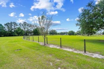 42415 Big Oak Road Altoona, FL 32702 - Photo 12 of 19