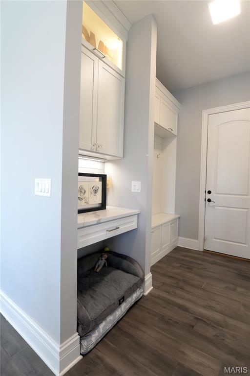 17016 Lakeside Ridge Chesterfield, MO 63005 - Photo 47 of 86