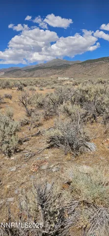 a view of beach and ocean