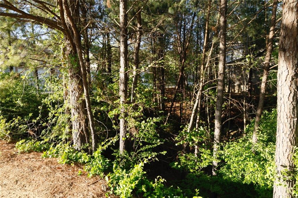 0 Hollyhock Lane Dallas, GA 30132 - Photo 4 of 6