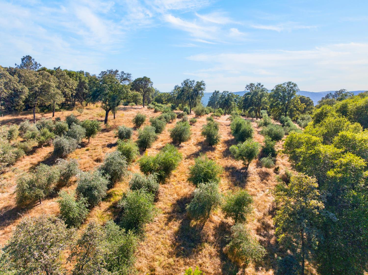 4000 Twin Ridges Road Garden Valley, CA 95633 - Photo 97 of 98