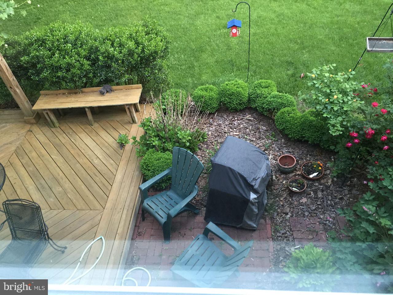 4012 Highview Drive Silver Spring, MD 20906 - Photo 3 of 18 Beautiful view from the dinning room window