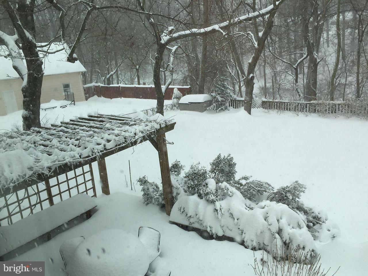 4012 Highview Drive Silver Spring, MD 20906 - Photo 5 of 18 The best place to build a snowman. :)