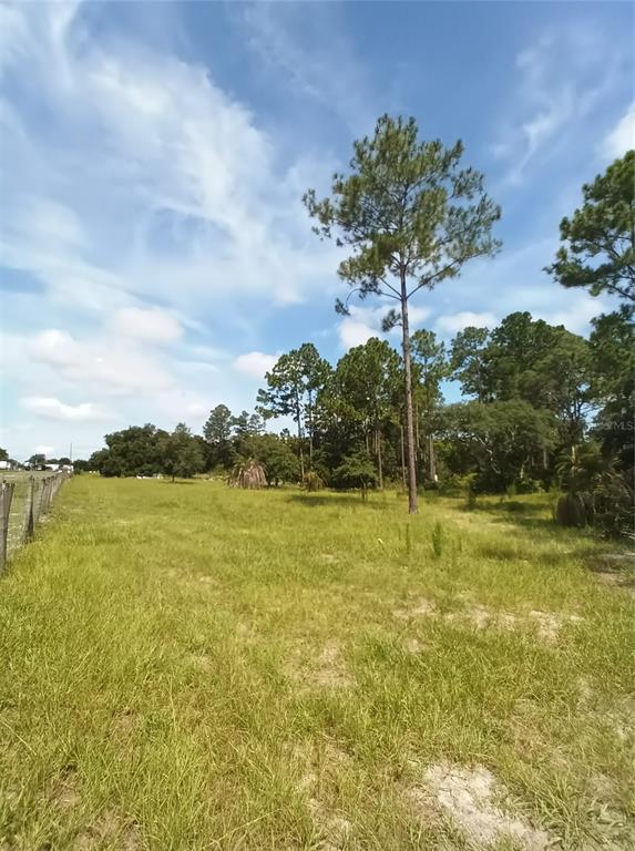 0 Cooter Pond Road DeLand, FL 32720 - Photo 1 of 1 Gallery Image 1