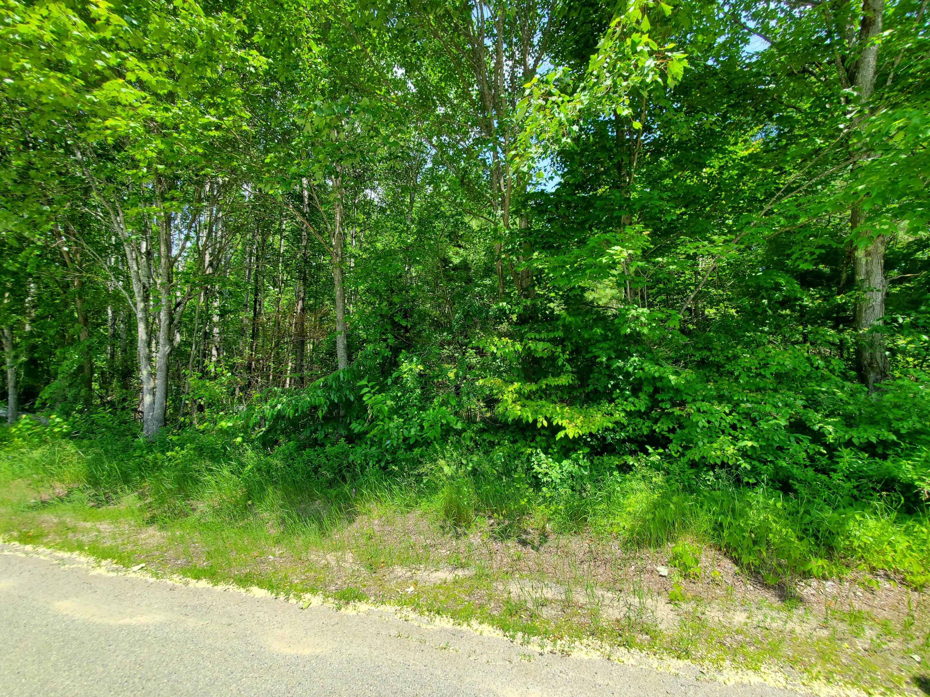 40 Morgan Road Burnham, ME 04922 - Photo 11 of 14 20250617_130817