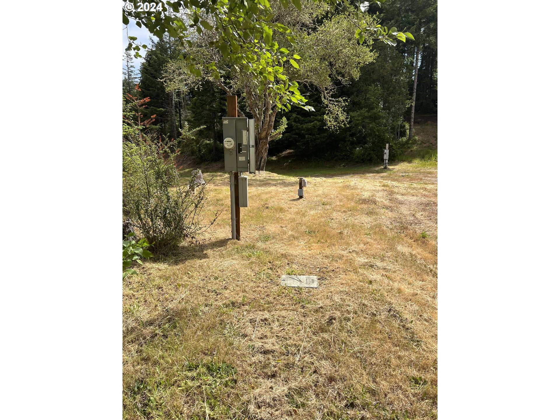 69919 Riddling Road North Bend, OR 97459 - Photo 27 of 28 a view of a yard