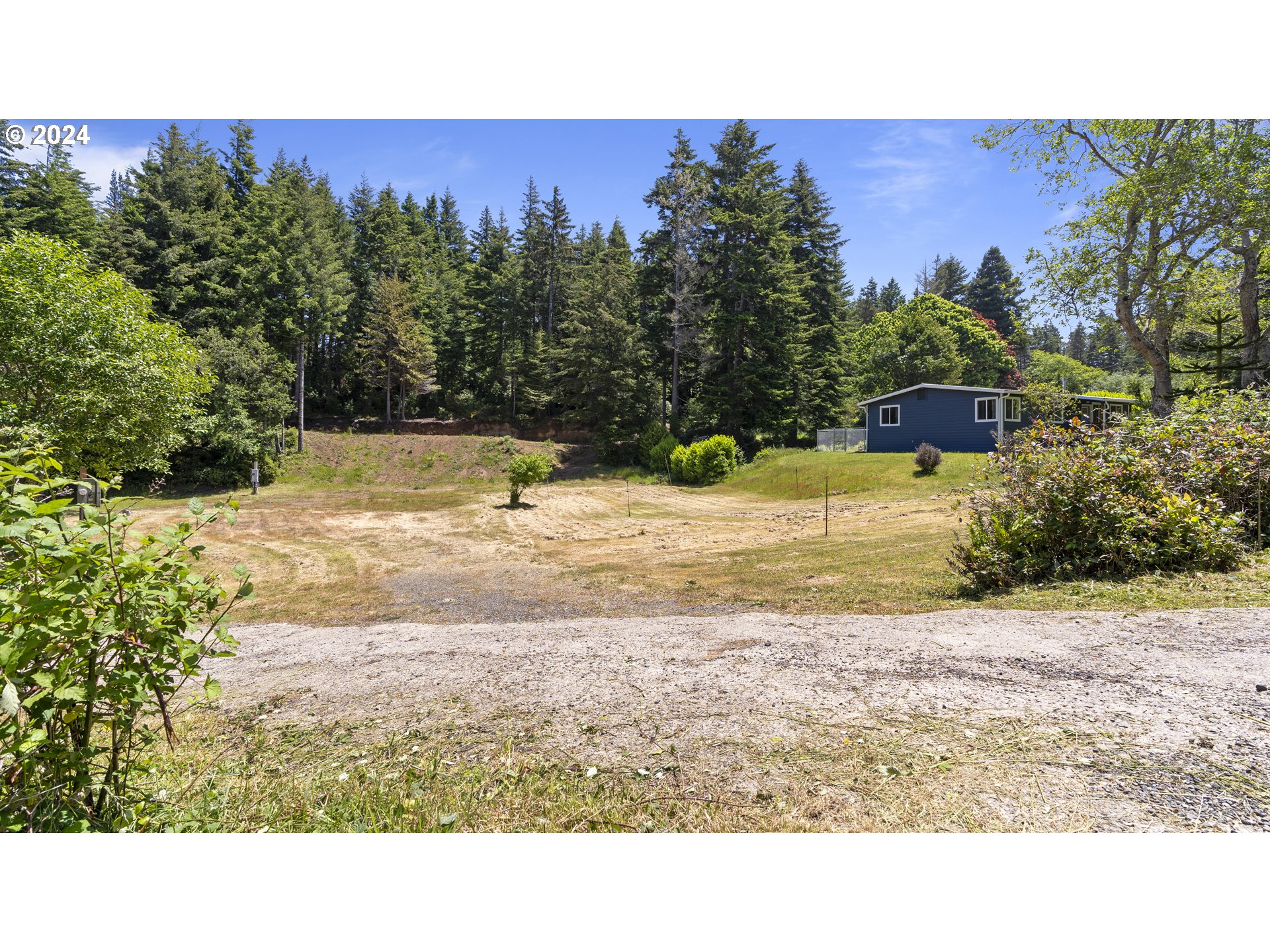 69919 Riddling Road North Bend, OR 97459 - Photo 3 of 28 a view of a yard with a tree