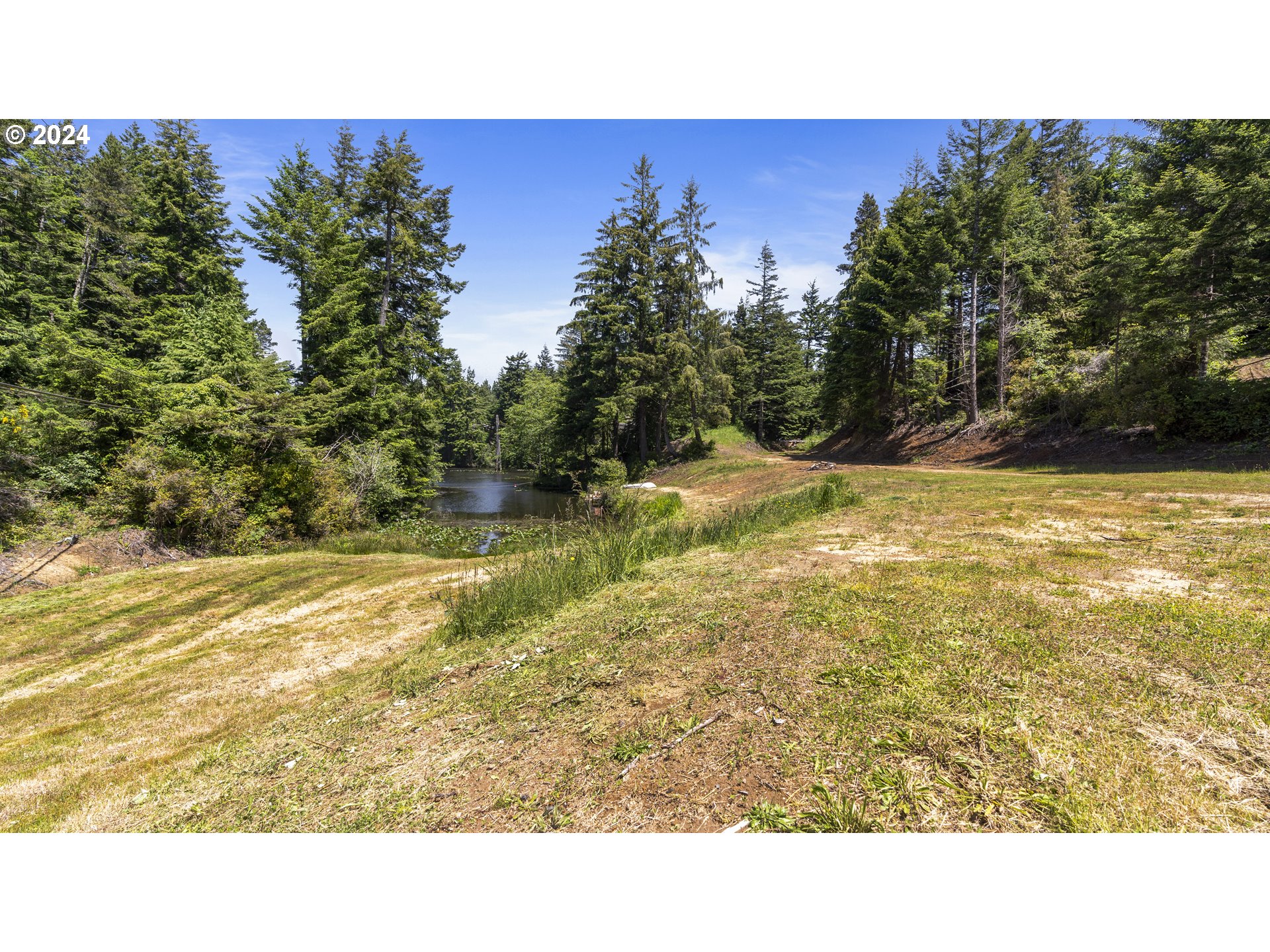 69919 Riddling Road North Bend, OR 97459 - Photo 7 of 28 a open area with trees in the background