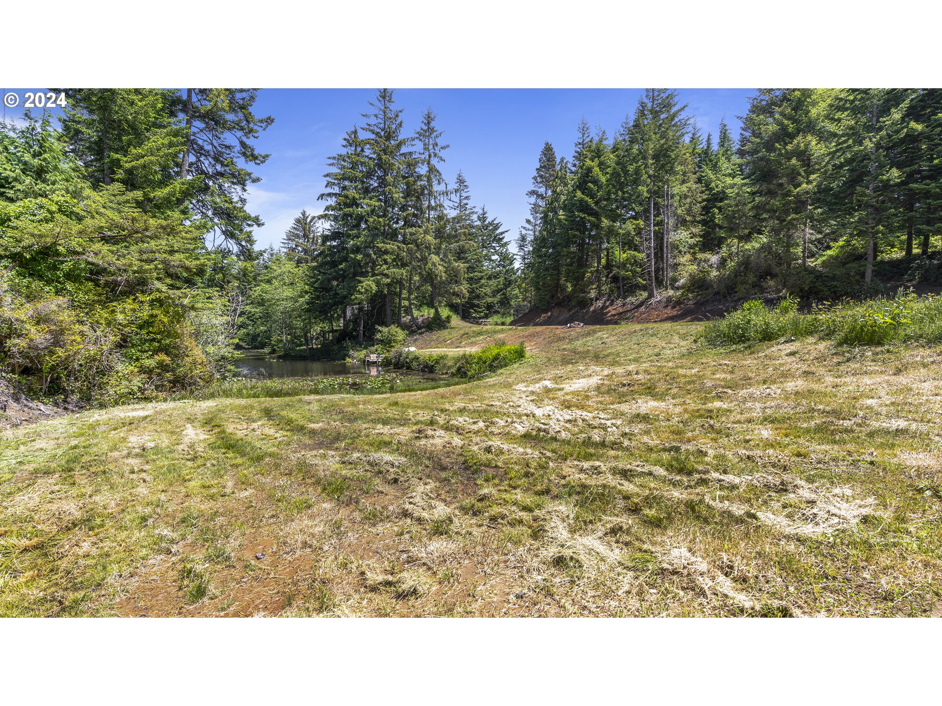 69919 Riddling Road North Bend, OR 97459 - Photo 8 of 28 a open area with trees in the background