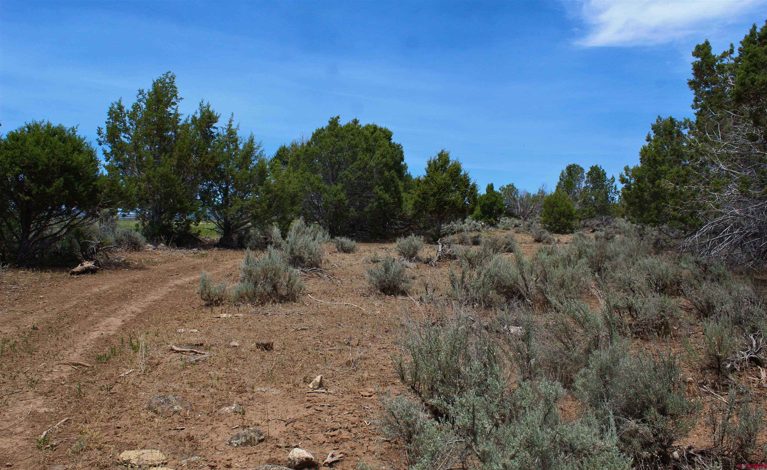 15574 2900th Road Hotchkiss, CO 81419 - Photo 45 of 45