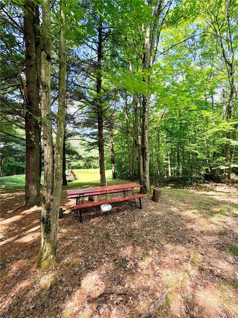 1667 Coon Hollow Road Orange, NY 14812 - Photo 35 of 41 Picnic area