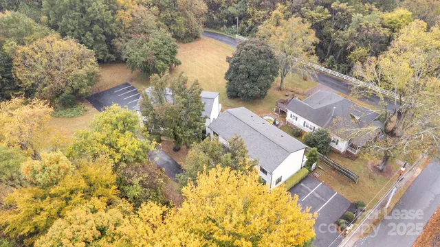 a view of a yard with plants and large trees