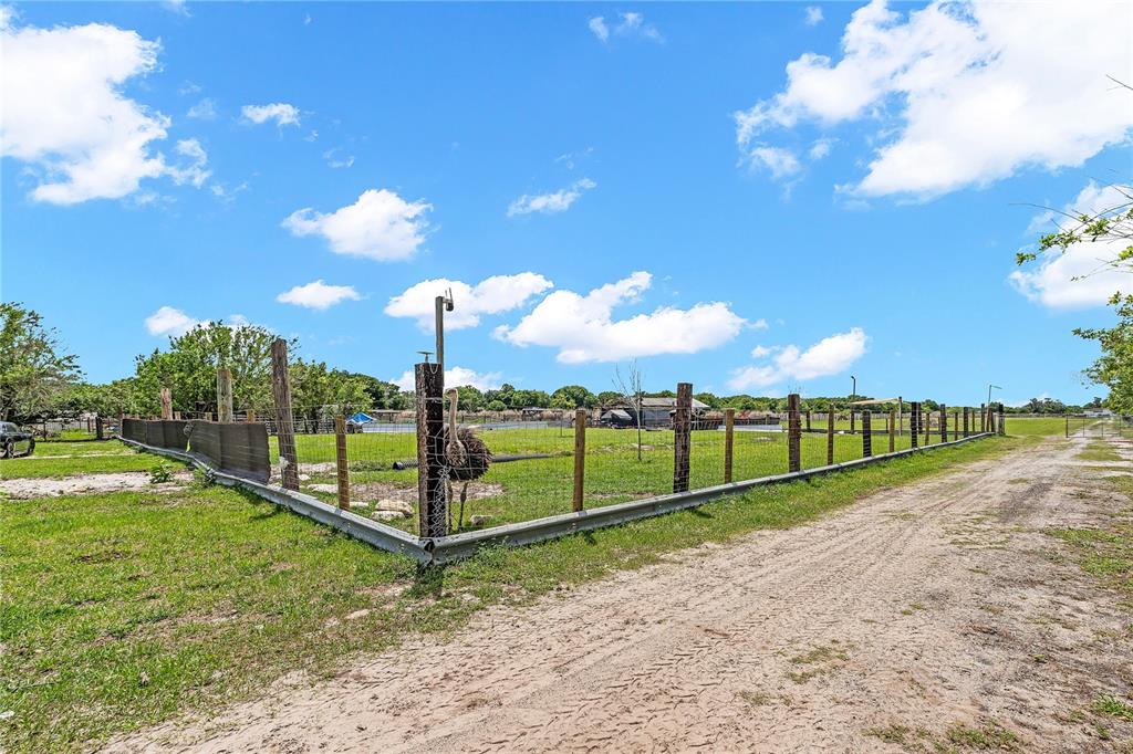 1321 Bluff Hammock Road Lorida, FL 33857 - Photo 35 of 67