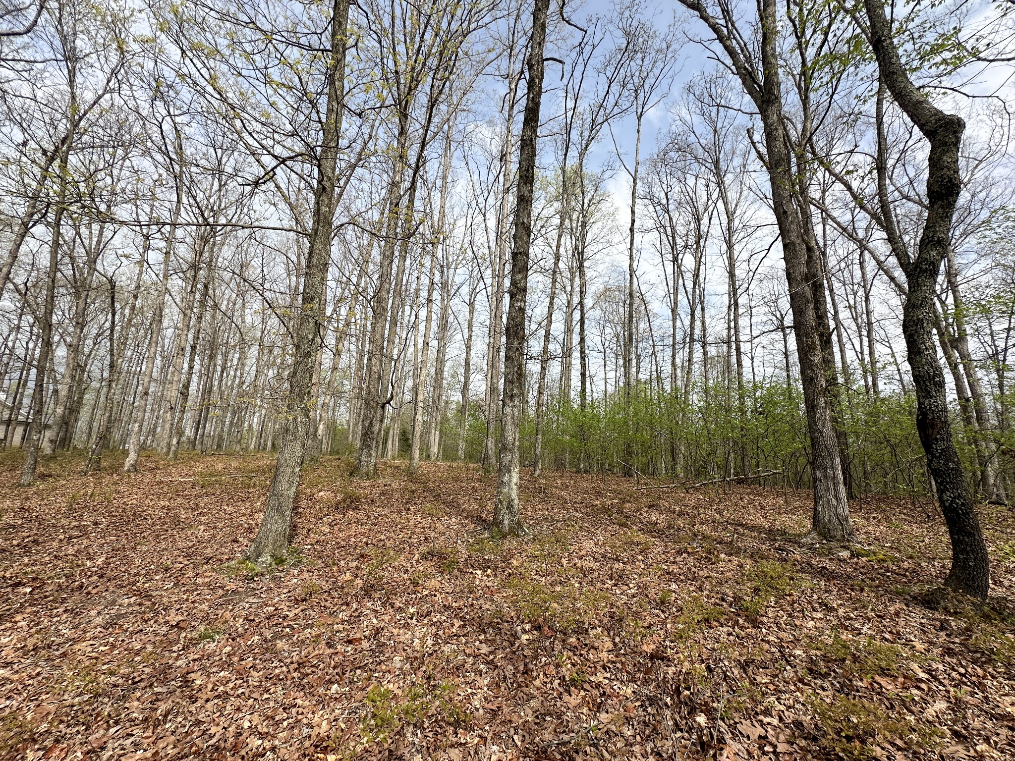0 Ridgewood Drive McEwen, TN 37101 - Photo 28 of 40 a view of outdoor space with green space