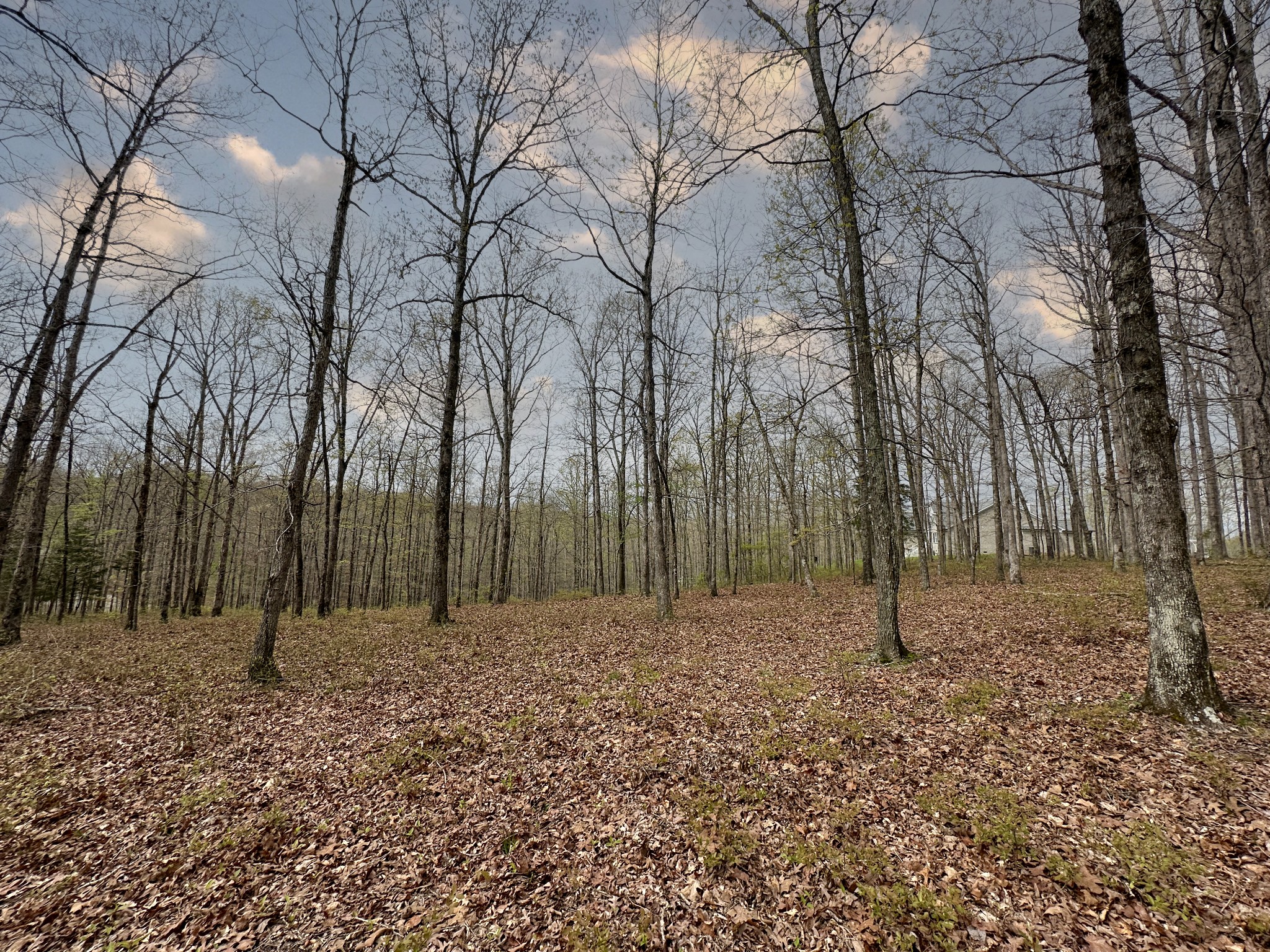 0 Ridgewood Drive McEwen, TN 37101 - Photo 30 of 40 a backyard of the house